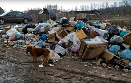 Мусор Красное