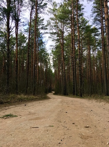 Она прекрасна! Она совершенна!