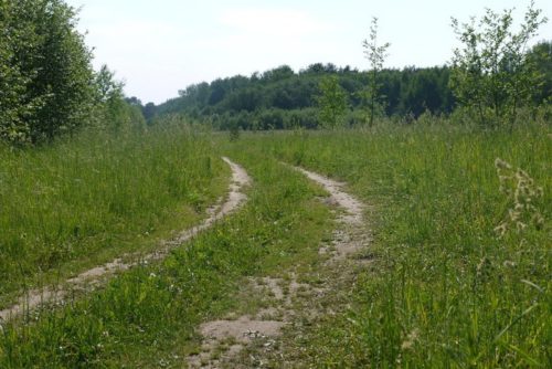 Куда шагает «Красноармеец»?