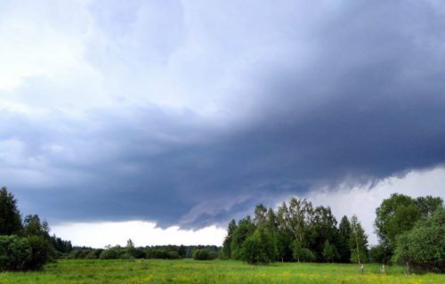 Синоптики предупреждают о грозе, ливне и ветре