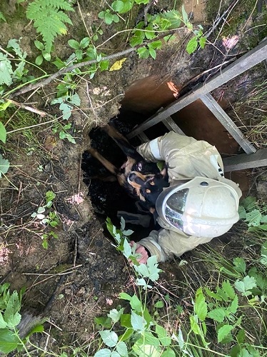 Старицкие спасатели пришли на помощь собаке, которая провалилась в колодец