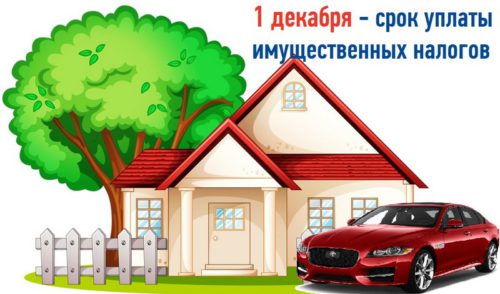 1 декабря - срок уплаты имущественных налогов