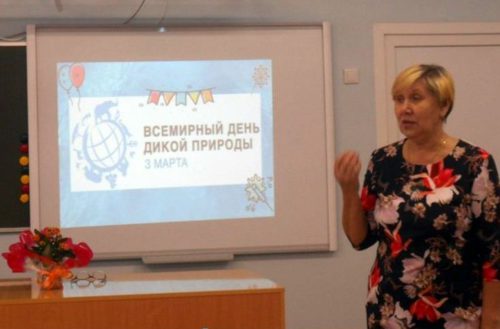 Под зелёным парусом мечты