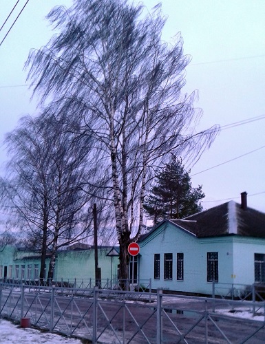 Ветер не стихнет