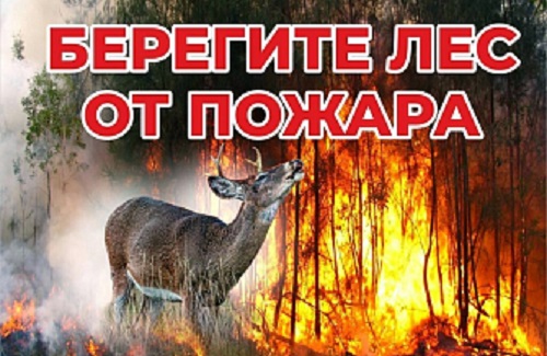 Берегите лес от пожара