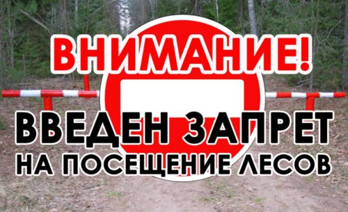 Об ограничении пребывания граждан в лесах и въезда в них транспортных средств