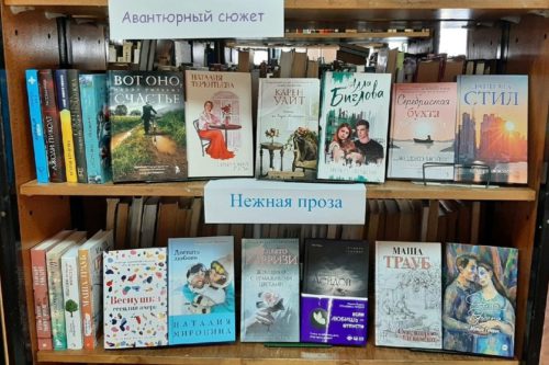 В Старицкую библиотеку поступили книжные новинки. Не пропустите!