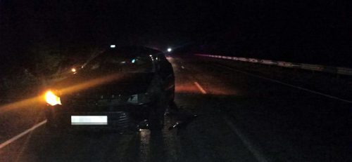 В Старицком районе «Тойота» въехала в лося