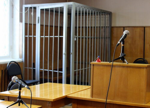 Житель Старицкого округа осужден за жестокое обращение с кошкой (18+)