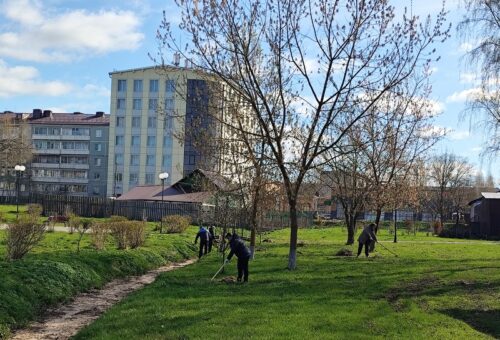 Старица избавляется от мусора