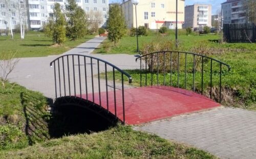 Старица избавляется от мусора