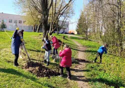 Старица избавляется от мусора