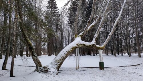Берново Голикова