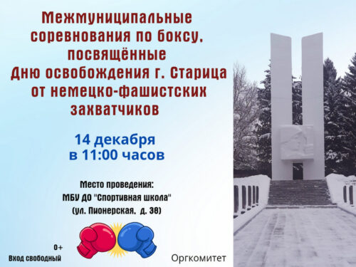 Бокс соревнования