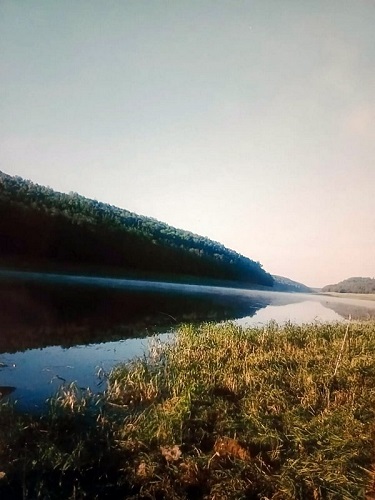 В окрестностях деревни Змеёвы Горки. Фото Е.Цветковой