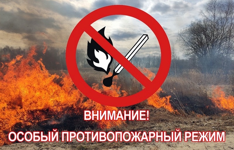На территории Старицкого муниципального округа введён особый противопожарный режим