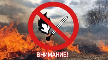 На территории Старицкого муниципального округа введён особый противопожарный режим