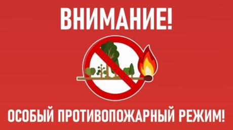В Тверской области с 11 июня вводится особый противопожарный режим
