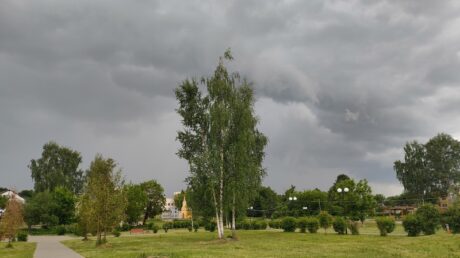 В отдельных районах Тверской области ожидаются гроза, сильный дождь, ливень