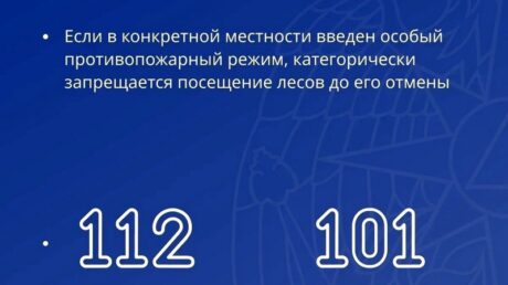 Жителям Тверской области напоминают о правилах пожарной безопасности в лесах в жаркий период