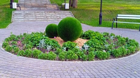 В городском саду появились… бильярдные шары!