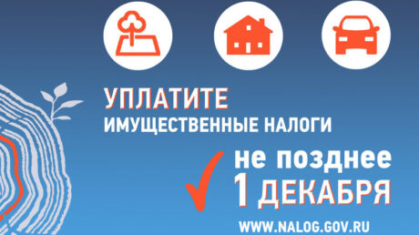 Жителям Тверской области направлены налоговые уведомления за 2024 год