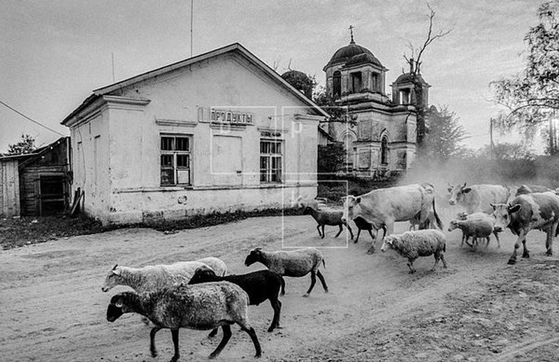 Территориальное управление Росимущества в Тверской области передало Успенскую церковь, часовню пророка Илии и сторожку в собственность Старицкого монастыря