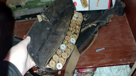 В Старицком округе задержаны браконьеры: незаконная охота на лосей обернулась уголовным делом