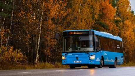 «Транспорт Верхневолжья» информирует о графике работы автобусов в длинные выходные в ноябре