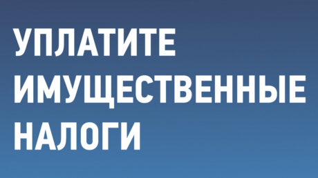 Уплатите имущественные налоги не позднее 1 декабря!