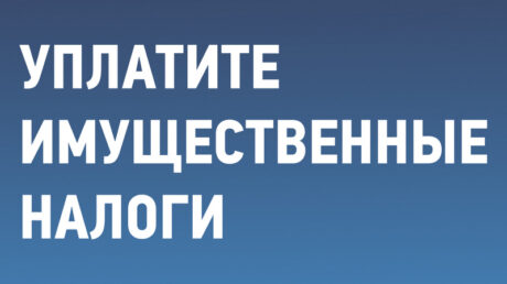 Уплати до 1 декабря!