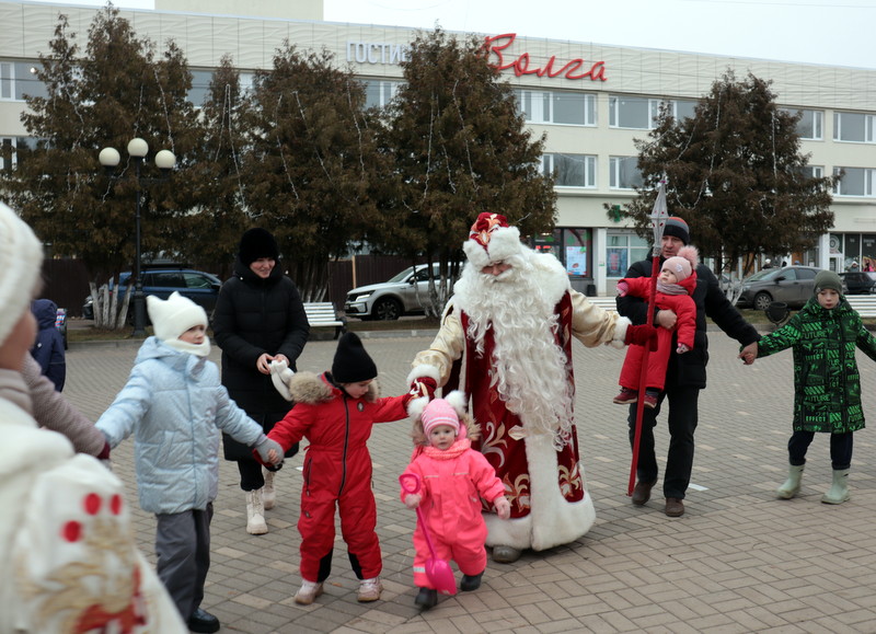 Зимоходы