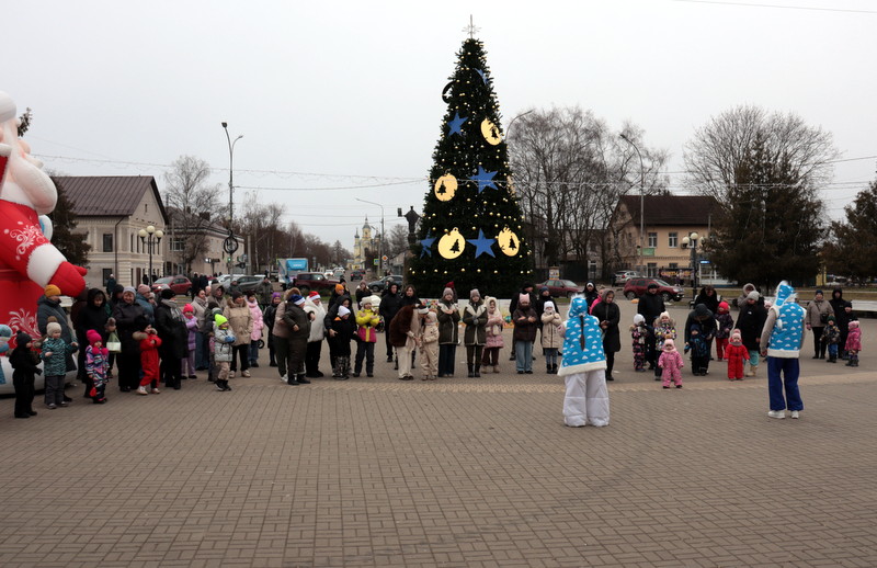 Зимоходы