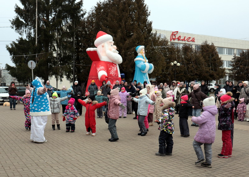 Зимоходы
