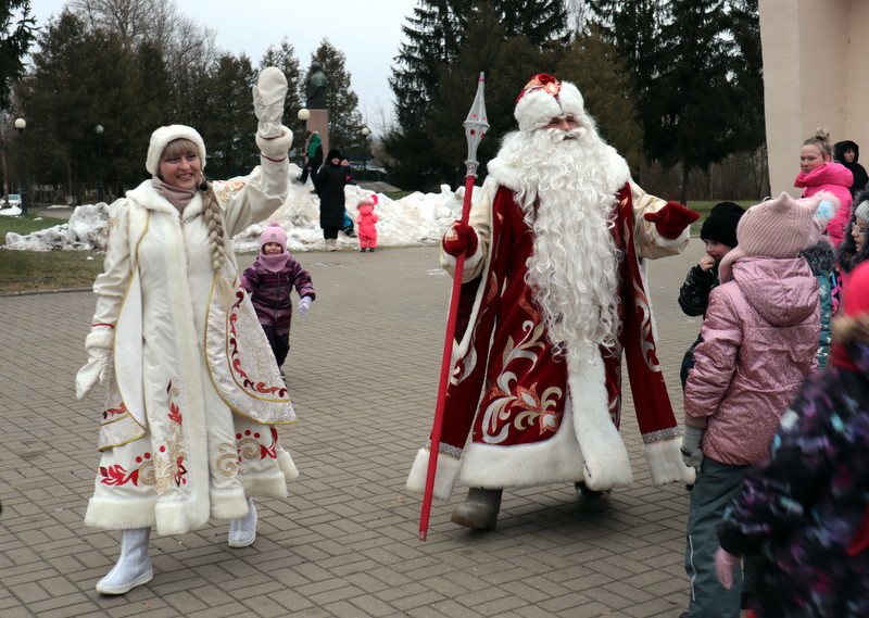 Зимоходы