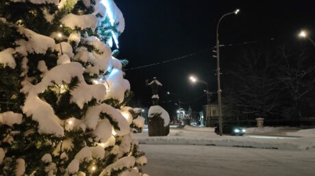 Безопасный Новый год
