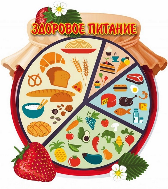 Неделя популяризации здорового питания