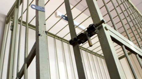 Житель Старицкого округа арестован по подозрению в совершении незаконного приобретения и хранения частей растения, содержащего наркотическое средство, в крупном размере