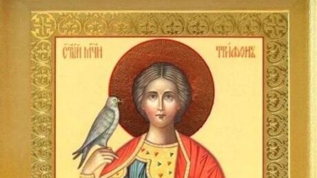 Кыш, мышь, или Не Валентин, а Трифон