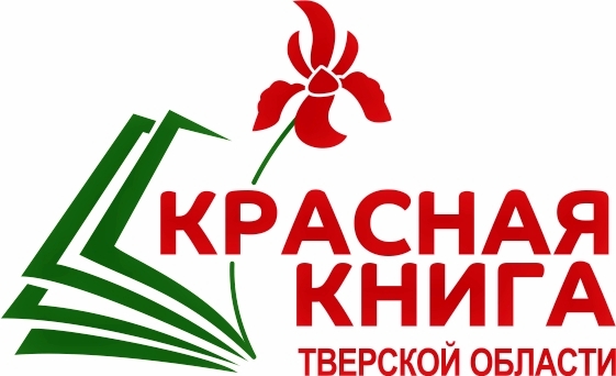 В Верхневолжье стартует творческий конкурс рисунков «Красная книга Тверской области глазами детей. Редкие виды животных и растений в народных и литературных текстах»