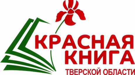В Верхневолжье стартует творческий конкурс рисунков «Красная книга Тверской области глазами детей. Редкие виды животных и растений в народных и литературных текстах»