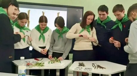 В Тверской области создадут семь новых агроклассов для подготовки специалистов АПК со школьной скамьи