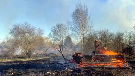 Глава Тверской области Виталий Королев призвал жителей Верхневолжья быть осторожными при обращении с огнём