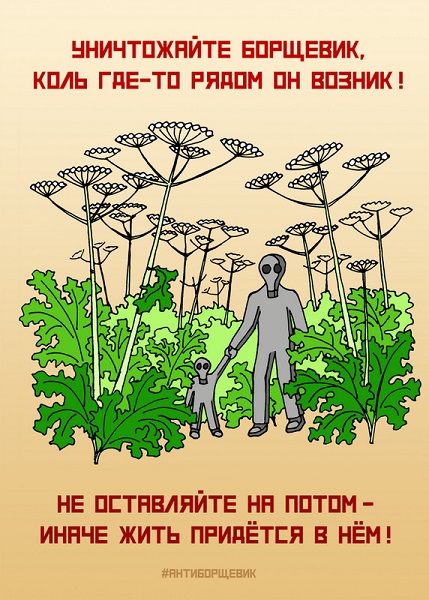 Борщевик - общая проблема, решать её необходимо комплексно и всем вместе