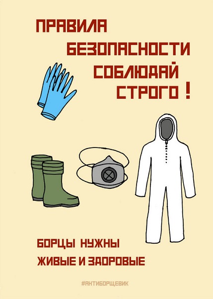 Борщевик - общая проблема, решать её необходимо комплексно и всем вместе