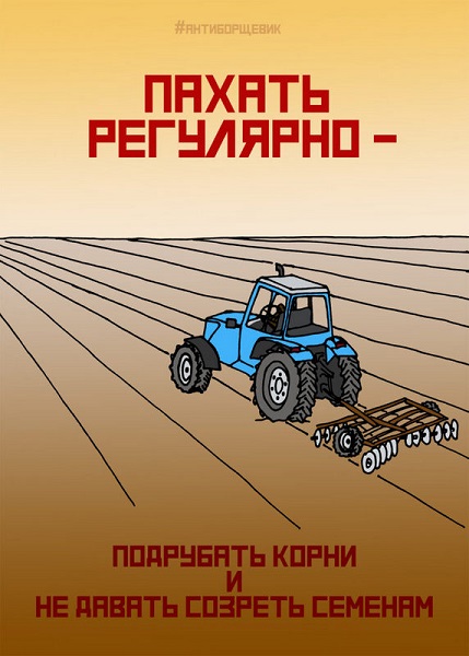 Борщевик - общая проблема, решать её необходимо комплексно и всем вместе