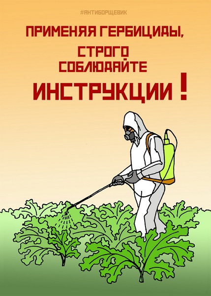 Борщевик - общая проблема, решать её необходимо комплексно и всем вместе