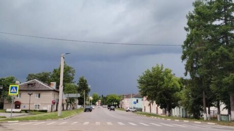 Ожидаются дожди и грозы
