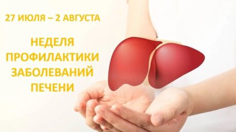 Неделя профилактики заболеваний печени: бережём важный орган