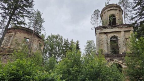 Бабинские школьники получили живой урок истории и культуры